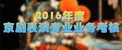 免费看干逼国家京剧院2016年度京剧表演专业业务考...